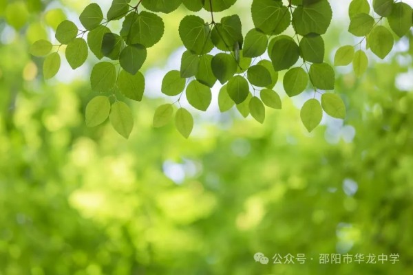 邵阳市华龙育英高级中学有限公司,邵阳中学教育,高中教育,师资雄厚,名优教师
